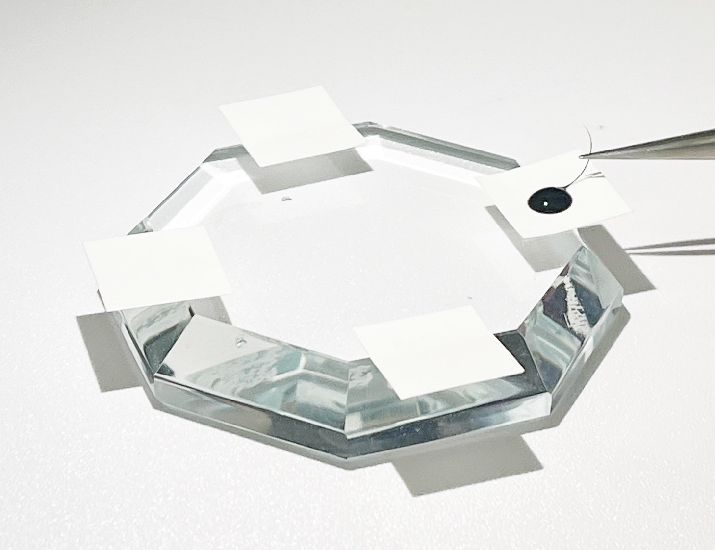 [Beauty lash Japan] 專業黑膠滴盤貼紙