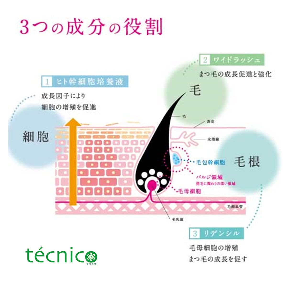 日本 【Lash Grandir】 睫毛精華液（睫毛稀少專用）