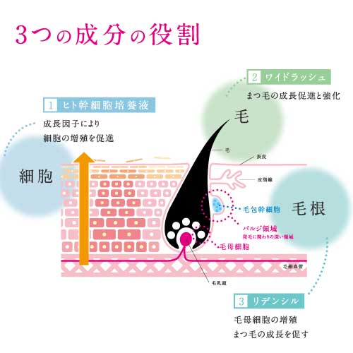 日本 Lash Grandir 睫毛精華液（睫毛稀少專用）