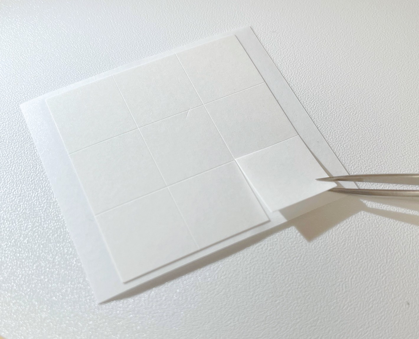 [Beauty lash Japan] 專業黑膠滴盤貼紙